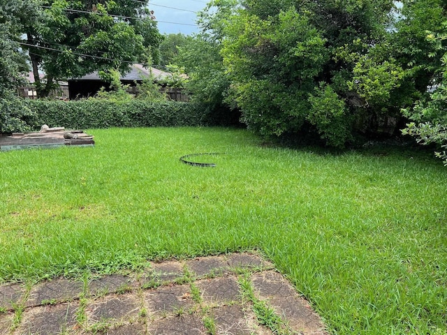 3848 Wentworth Ave, Port Arthur, TX 77642 - view of green lawn