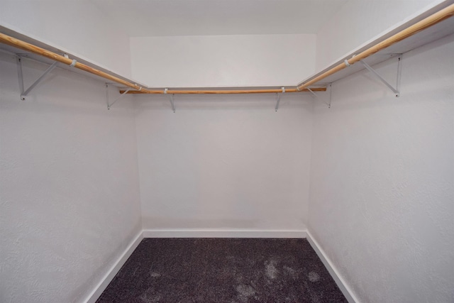 walk in closet featuring carpet flooring