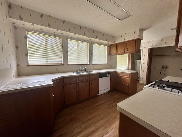 kitchen featuring wallpapered walls, dishwasher, wood finished floors, a textured ceiling, and a sink