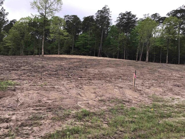 165 Jennifer Ln, Burkeville, TX 75932 - photo 7