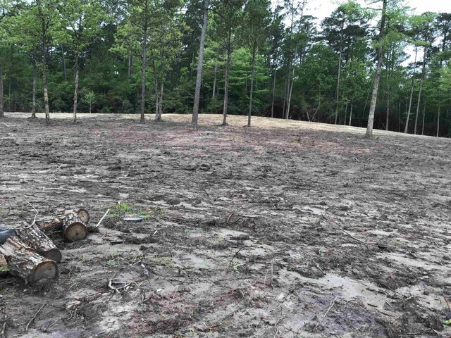 165 Jennifer Ln, Burkeville, TX 75932 - photo 5