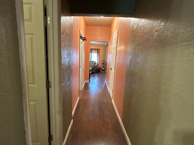 hallway featuring dark wood-type flooring