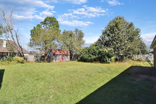 view of yard featuring a storage unit