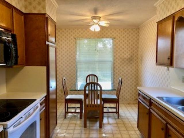 kitchen with electric range, ceiling fan, ornamental molding, and sink