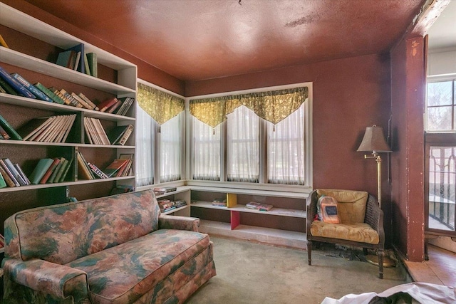 sitting room with light colored carpet