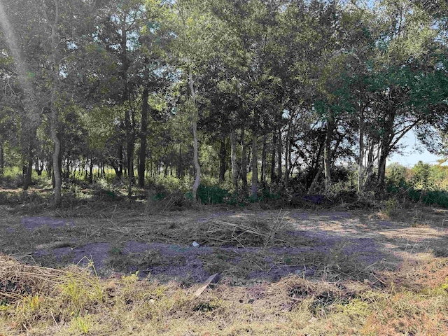 155 Moore, Beaumont, TX 77713 - view of nature