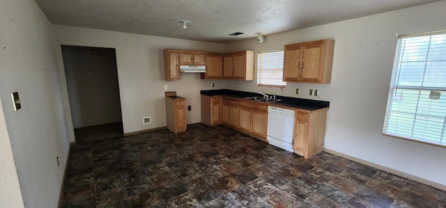 kitchen with white dishwasher, a wealth of natural light, and sink