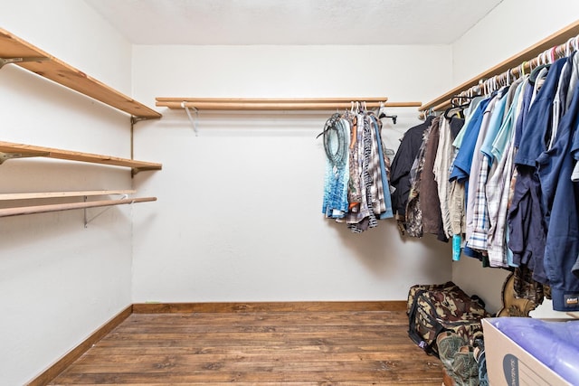 spacious closet featuring wood-type flooring