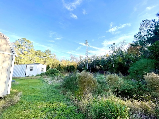 view of yard featuring an outbuilding