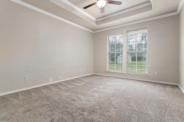 unfurnished room featuring carpet, ceiling fan, a raised ceiling, and crown molding