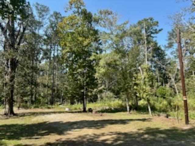 PID30680 Cindy St, Brookeland TX, 75931 land for sale