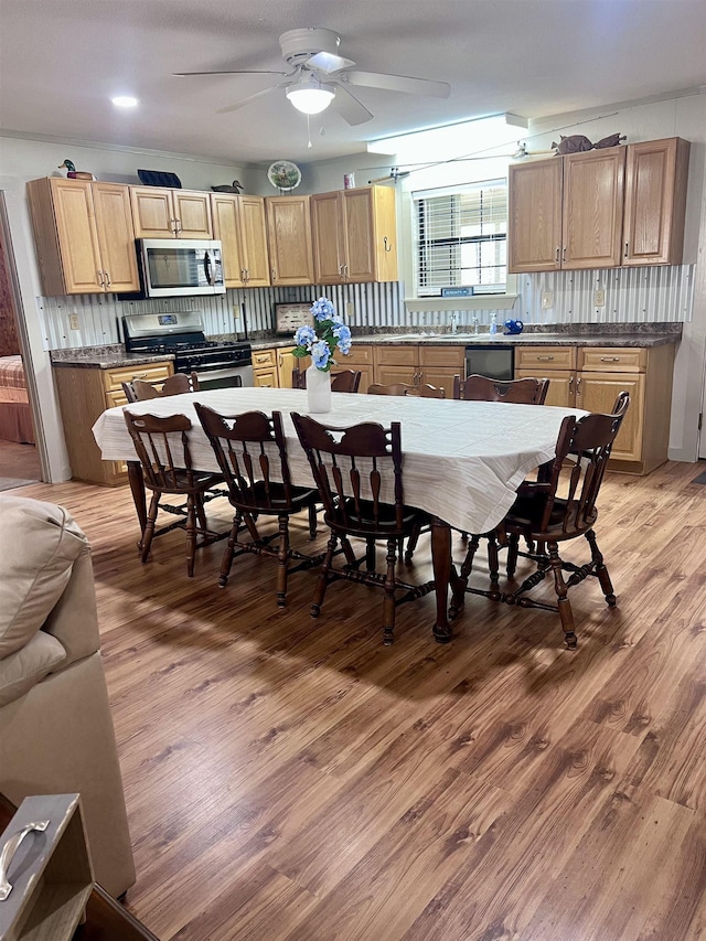 kitchen with light wood-type flooring, a ceiling fan, stainless steel appliances, and decorative backsplash