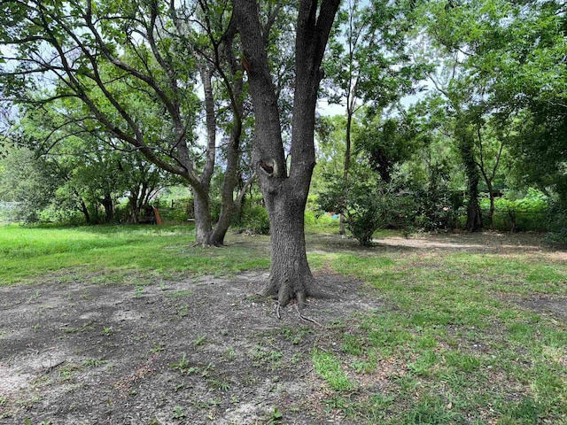 733 Phyllis Ave, Port Arthur, TX 77640 - view of yard