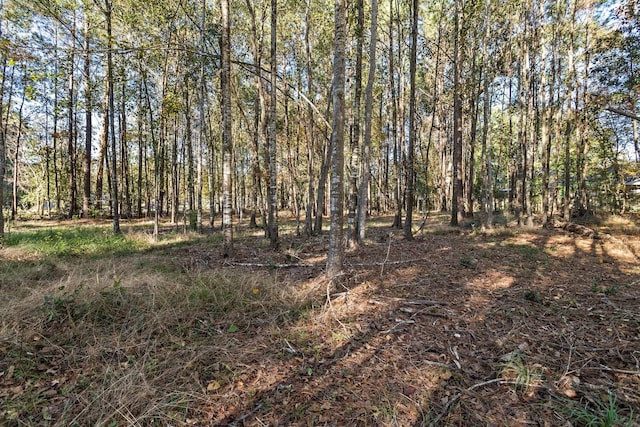 760 W Walton, Lumberton, TX 77657 - photo 2