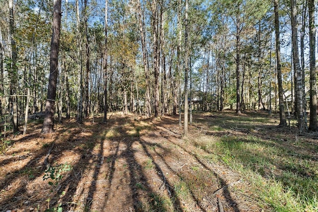 760 W Walton, Lumberton, TX 77657 - photo 3