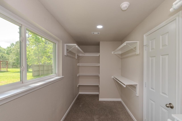 319 Pinemont Dr, Beaumont, TX 77659 - spacious closet featuring carpet and visible vents