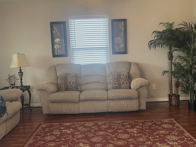 living room featuring dark hardwood / wood-style floors