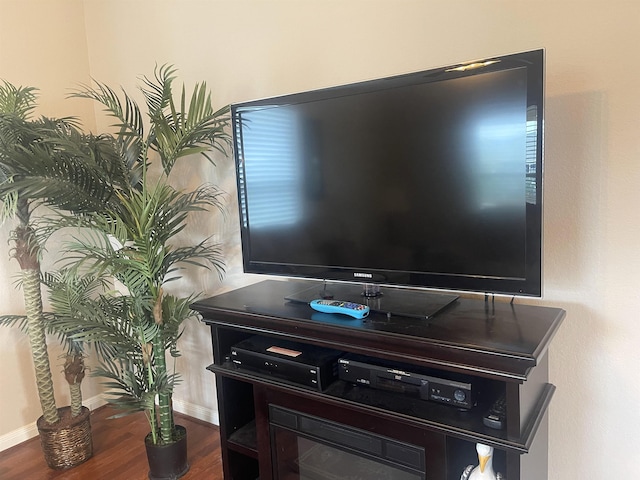 room details featuring hardwood / wood-style flooring