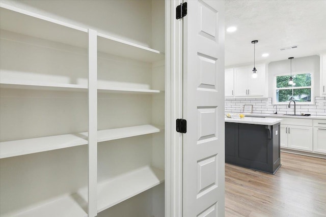 pantry featuring sink