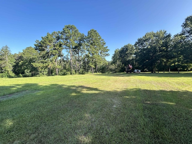 TBD County Road 2775, Woodville, TX 75979 - photo 1