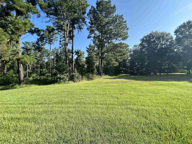 TBD County Road 2775, Woodville, TX 75979 - photo 7