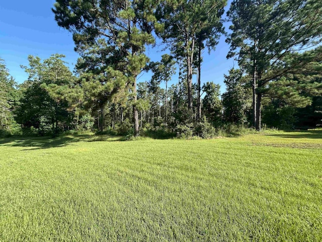 TBD County Road 2775, Woodville, TX 75979 - photo 8