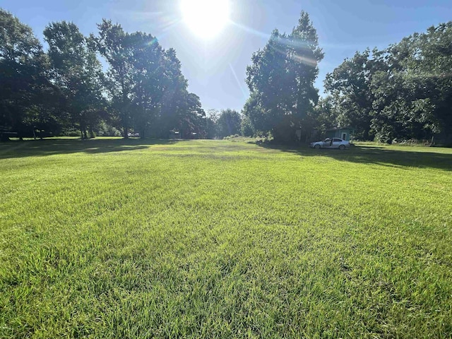 TBD County Road 2775, Woodville, TX 75979 - photo 6