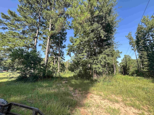 TBD County Road 2775, Woodville, TX 75979 - photo 11