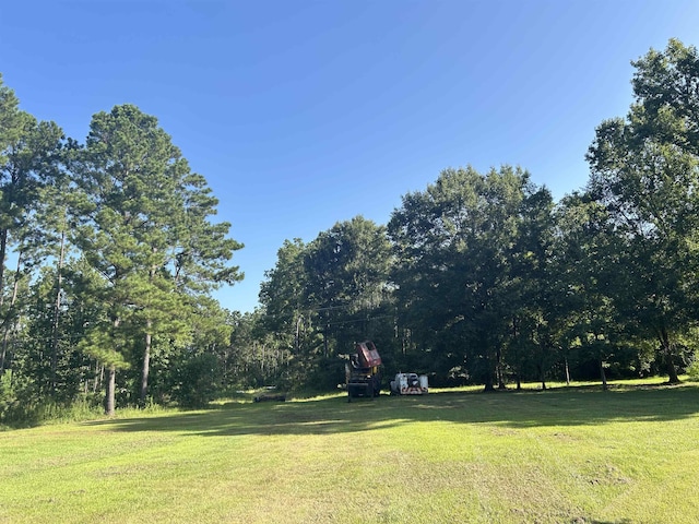 TBD County Road 2775, Woodville, TX 75979 - photo 3