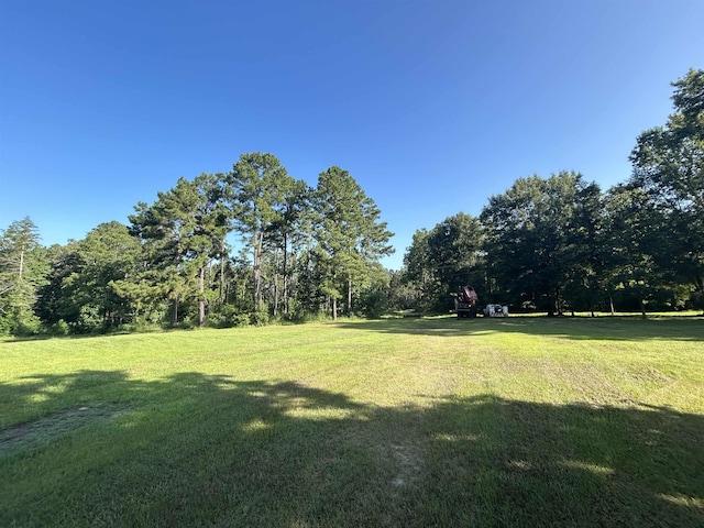 TBD County Road 2775, Woodville, TX 75979 - photo 2