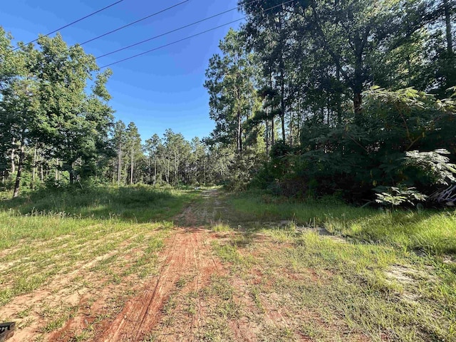 TBD County Road 2775, Woodville, TX 75979 - photo 4