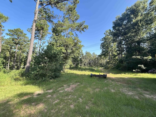 TBD County Road 2775, Woodville, TX 75979 - photo 5