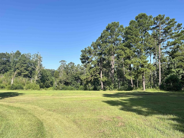 TBD County Road 2775, Woodville, TX 75979 - photo 9