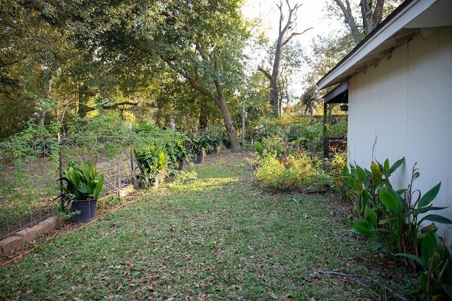 view of yard