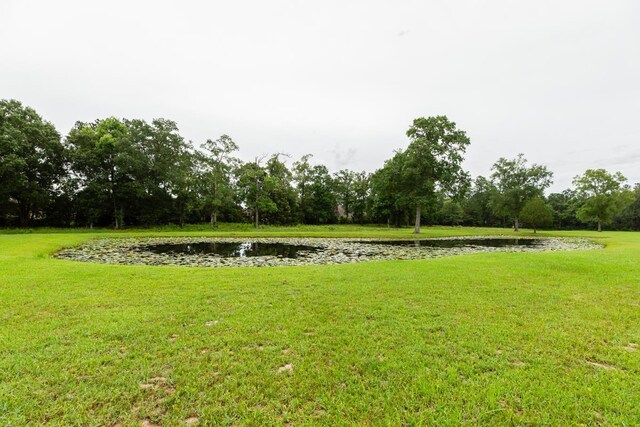 114 Holmes Rd, Lumberton, TX 77657 - view of green lawn with a water view