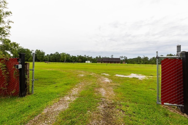 114 Holmes Rd, Lumberton, TX 77657 - view of yard
