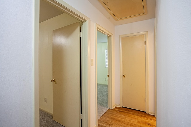 corridor with light wood-type flooring