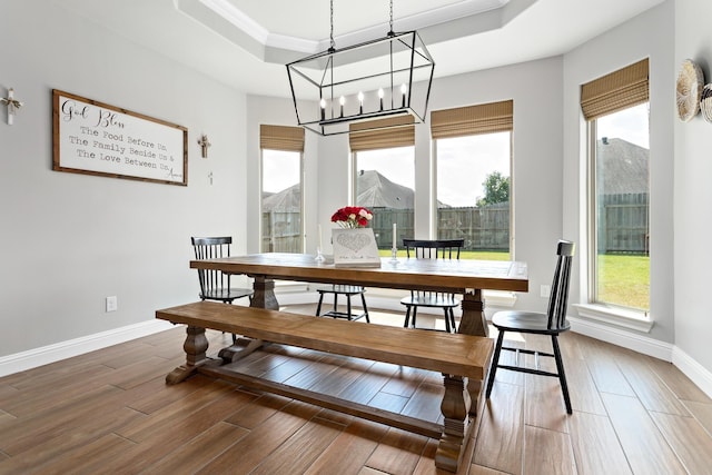 dining room with a mountain view, a tray ceiling, and hardwood / wood-style flooring