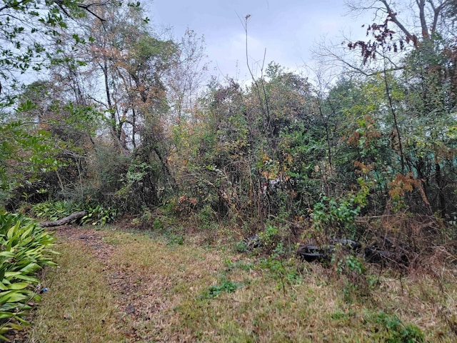 view of local wilderness featuring a forest view