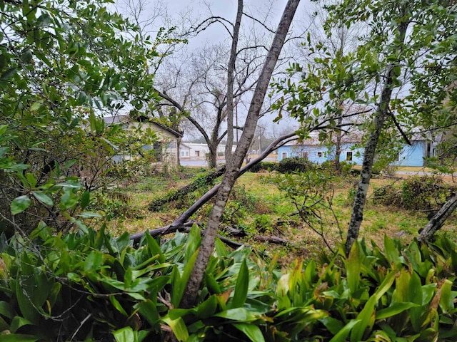 view of landscape