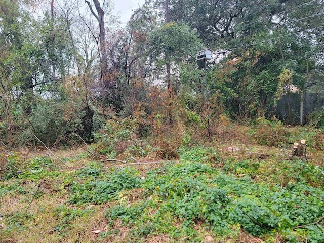 view of nature with a view of trees