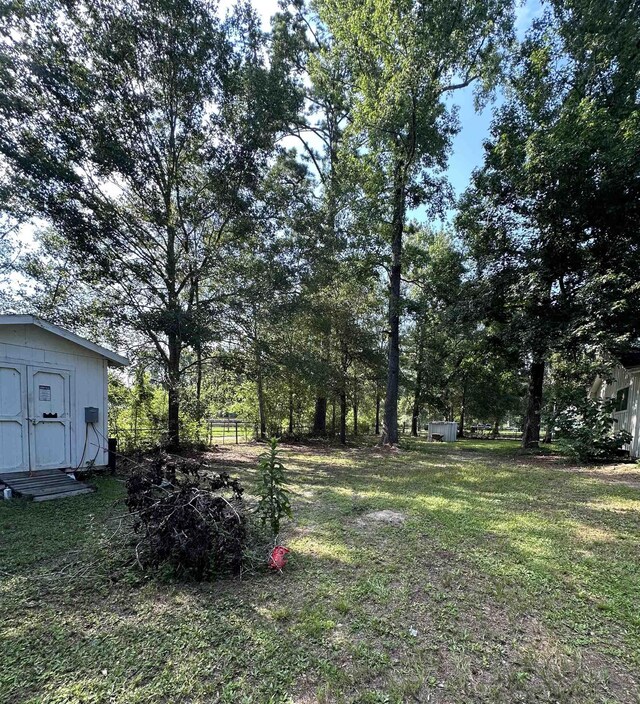 view of yard with a storage unit