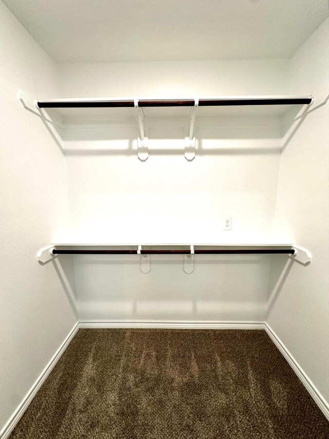 walk in closet featuring carpet