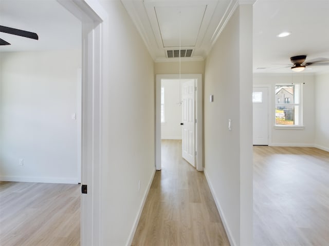 hallway featuring ornamental molding and light hardwood / wood-style flooring