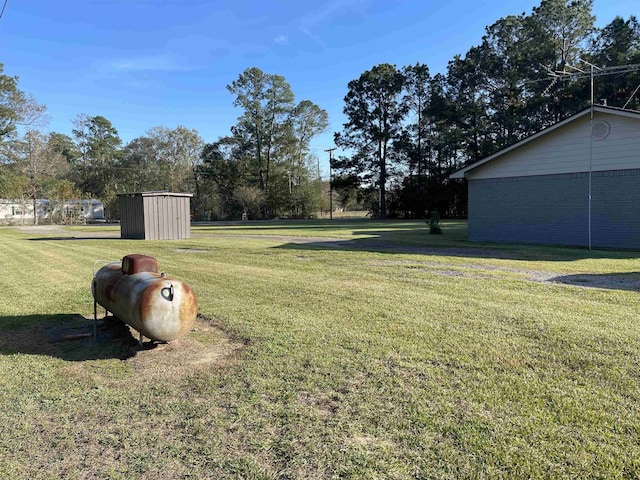 view of yard with a storage unit