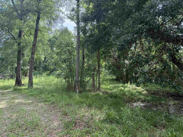 4668 Spillers Rd, Lumberton, TX 77657 - photo 4