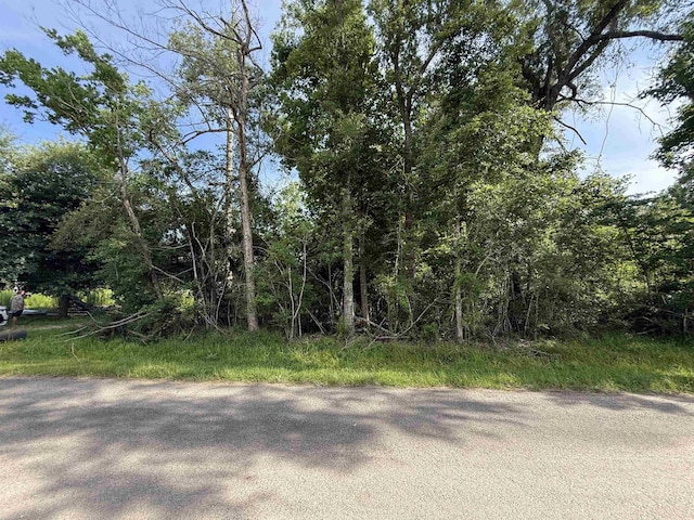 4668 Spillers Rd, Lumberton, TX 77657 - photo 2