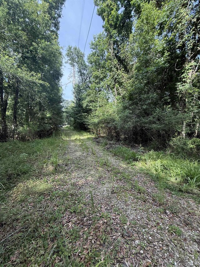 4668 Spillers Rd, Lumberton, TX 77657 - photo 6