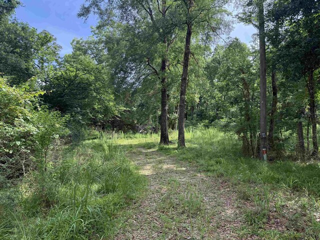 4668 Spillers Rd, Lumberton, TX 77657 - photo 3