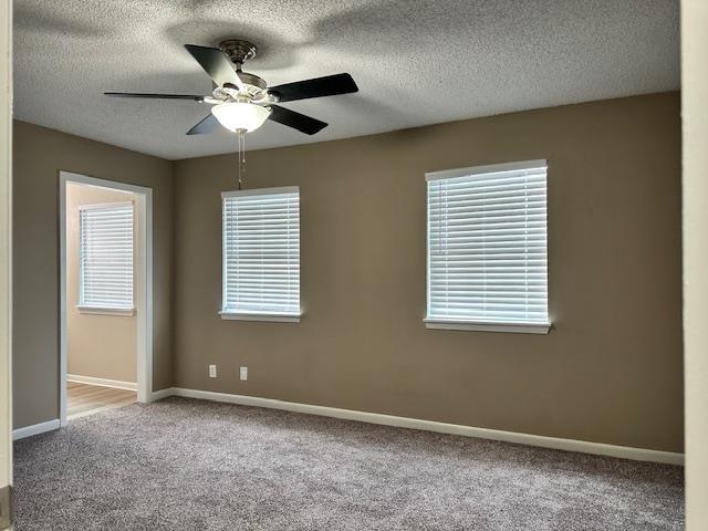 spare room with carpet flooring, a wealth of natural light, ceiling fan, and a textured ceiling